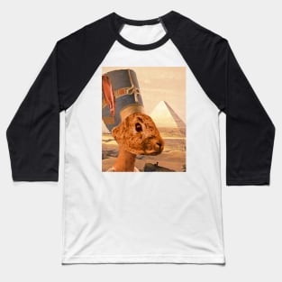 Bunny Nefertiti Baseball T-Shirt